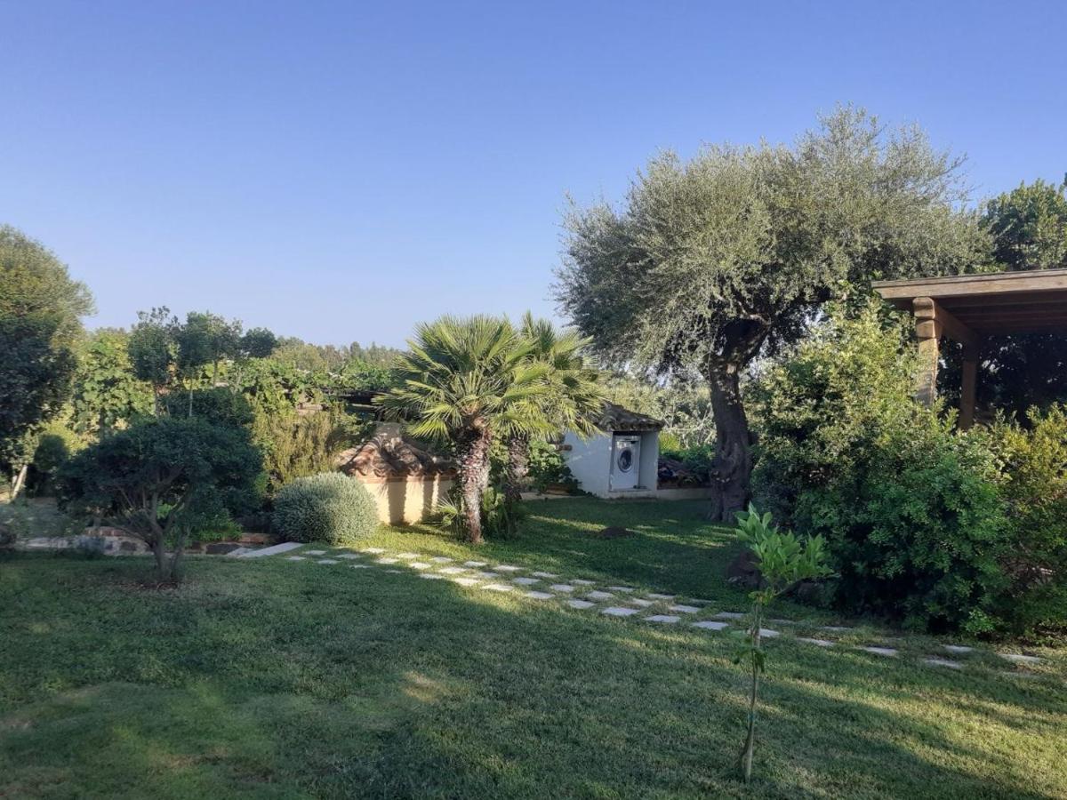 Casa Vacanze Il Pino, Орозеи Екстериор снимка